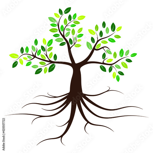 Vector illustration tree with roots, Green tree forest background, nature concept.