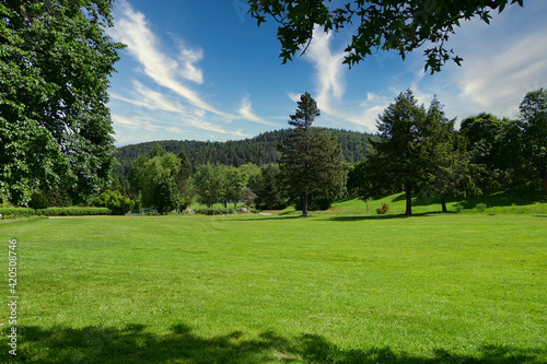 Eine ausgedehnte grüne Wiese im Sommer mit Nadel- und Laubbäumen, sowie einem bewaldeten Hügel im Hintergrund