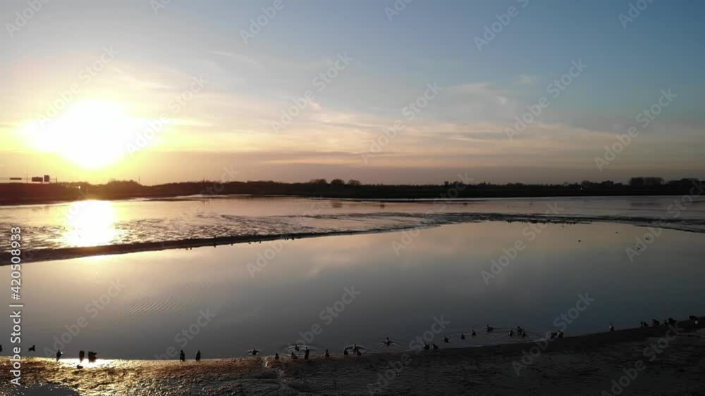 Group of ducks enter in a pond at sunset. Aerial view, flying over Group of ducks enter in a pond at sunset. Aerial view, flying over