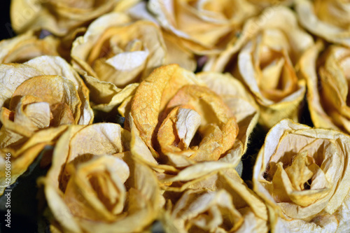A bouquet of dried yellow roses.