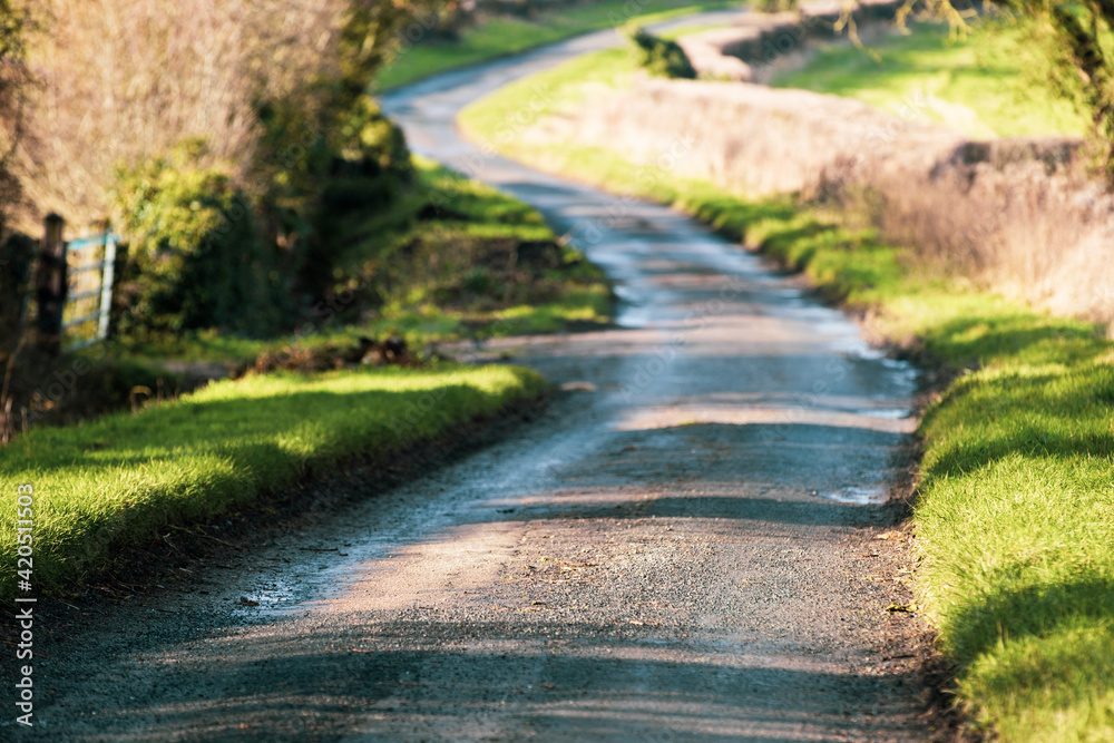 Wet country road