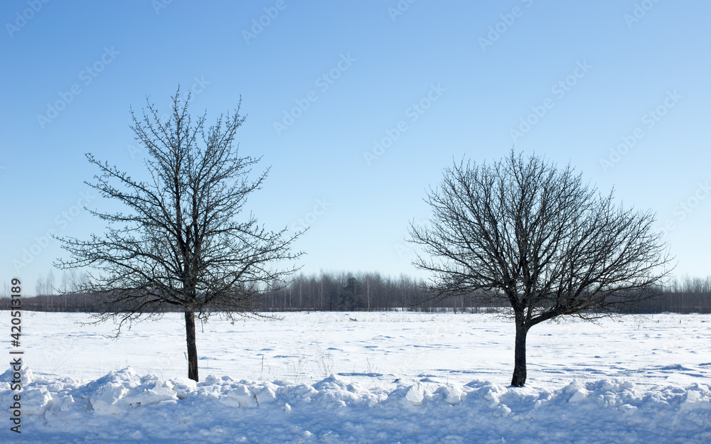 Winter landscape, blue skies and sparkling snow Winter landscape, blue skies and sparkling snow