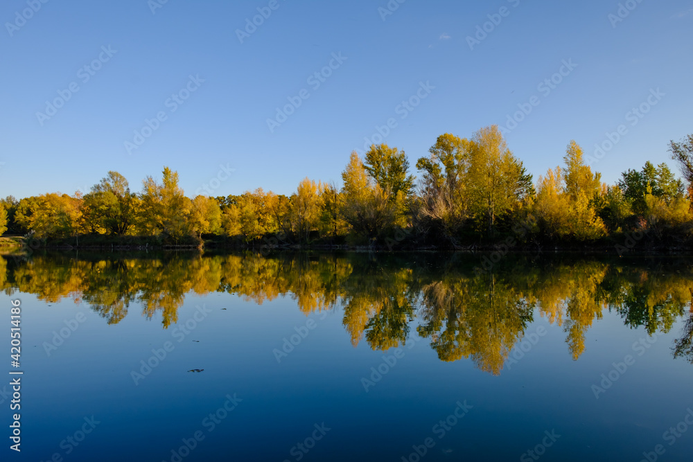 reflets étangs reflets étangs
