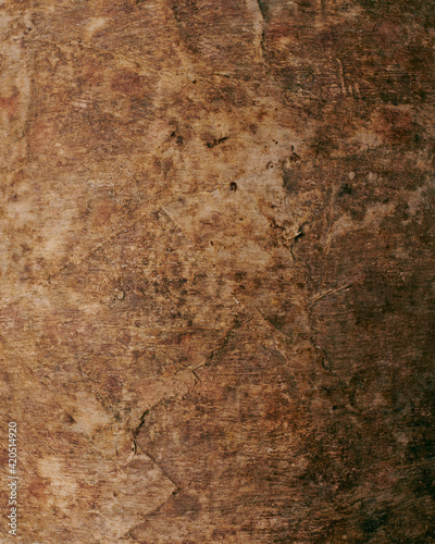 Close up of the surface of a Cheese Wheel in Aging Cave