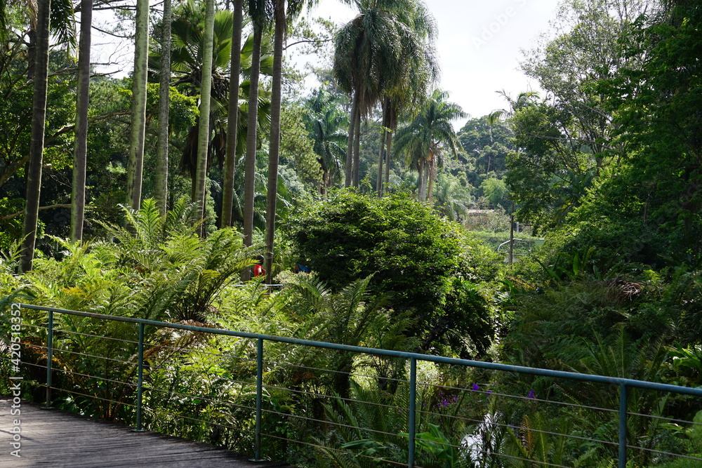 Obraz premium Brazilian park