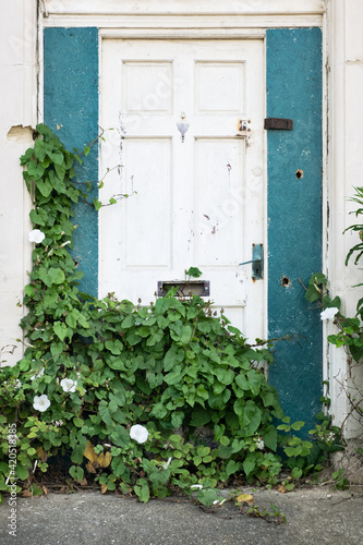 Doorway and bindweed