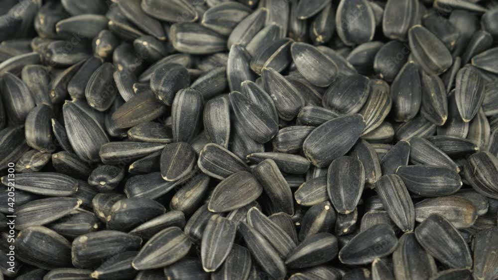 Organic black sunflower seeds for background or texture. Harvest or oil production, organic food concept Organic black sunflower seeds for background or texture. Harvest or oil production, organic food concept