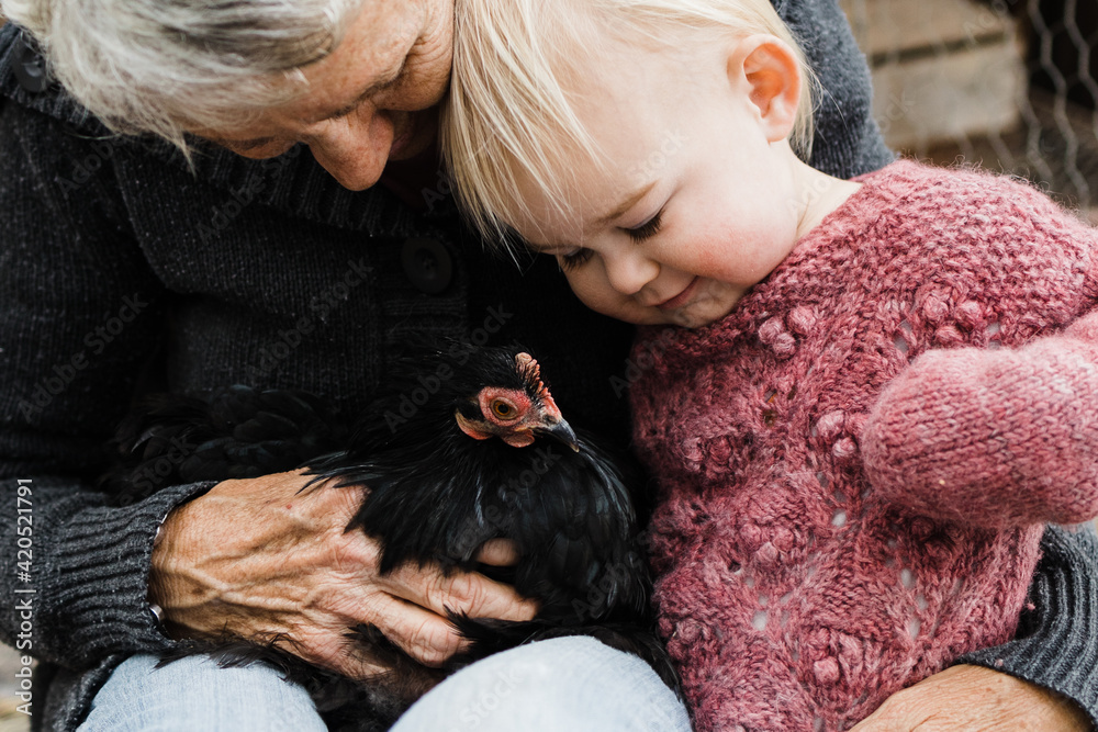 Grandmother showing granddaughter a chicken Grandmother showing granddaughter a chicken