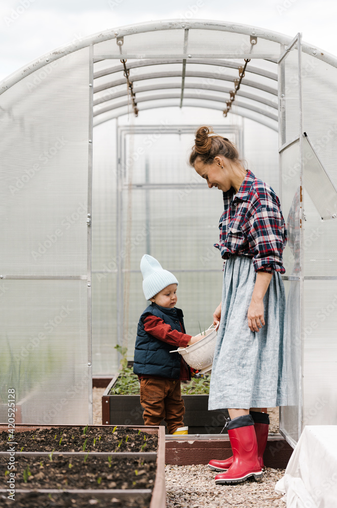 Mother and son working in greenhouse Mother and son working in greenhouse