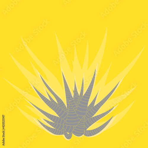 An illustration of ultimate gray haworthia on a yellow illuminating background with shadows