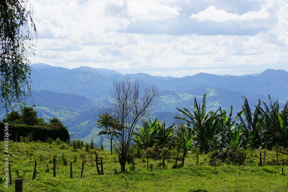 brazilian mountain nature brazilian mountain nature