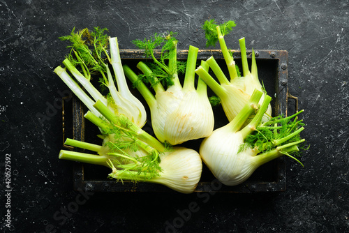 Fresh organic fennel bulbs in a wooden box. Healthy food. Top view. Free space for your text.