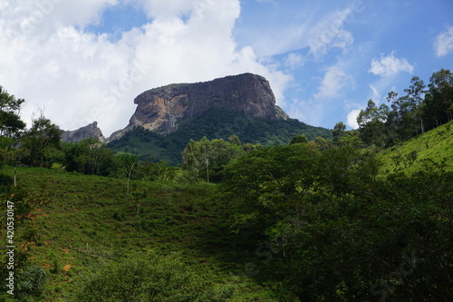 brazilian mountain nature