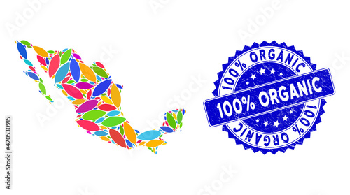 Colorful Mexico mosaic map done of coca leaf pictograms, and 100% Organic textured stamp. Vector coca leaf random flat colorful design elements are united into mosaic map of Mexico country.