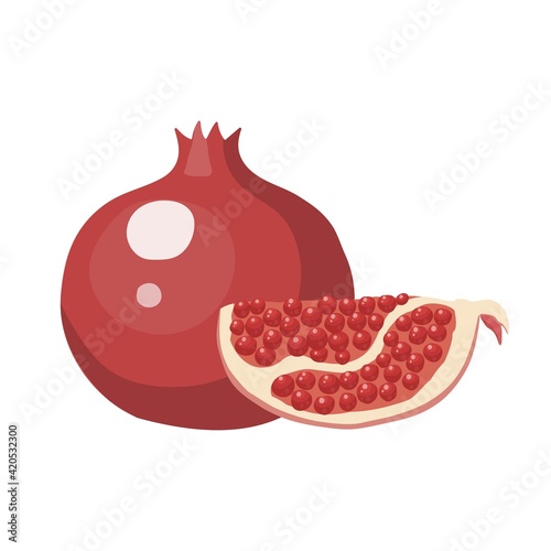 Vector illustration. Whole ripe fruit red pomegranate, cut half sliced garnet. Isolated on white