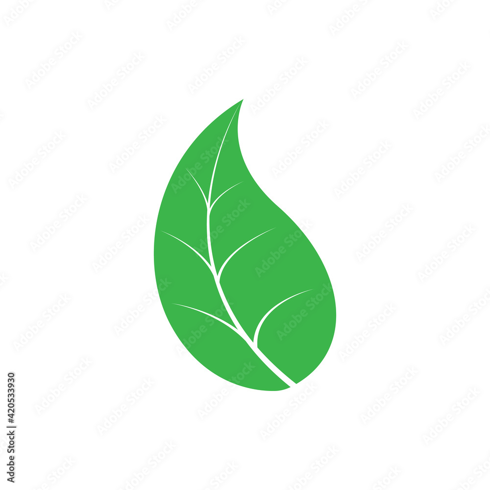 green leaf icons logo on white background. vector illustration. Flat style. green leaf icons logo on white background. vector illustration. Flat style.