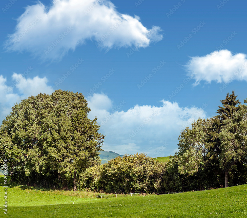 Mountains in the valley