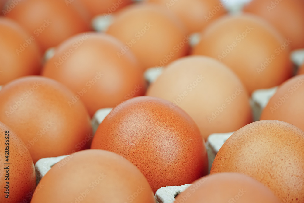 Chicken eggs in carton box,Group of fresh eggs in pater tray.