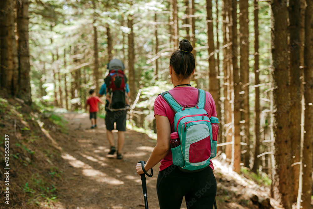 Family Hiking In The Woods Family Hiking In The Woods