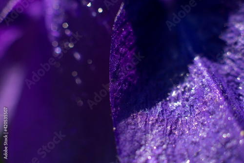 Floral background. Wet macro delicate petals on bright sunlight.
