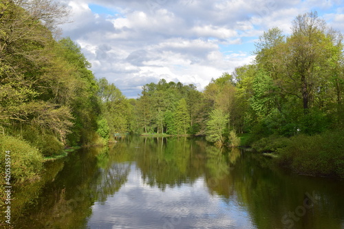 Fototapeta Naklejka Na Ścianę i Meble -  river in the forest