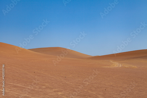 Landscape photography of red dunes and sands  in the Paracas desert  on the Lagunillas Route  in the direction of Las Minas Beach in the Paracas National Reserve  Pisco  Ica  Peru.
