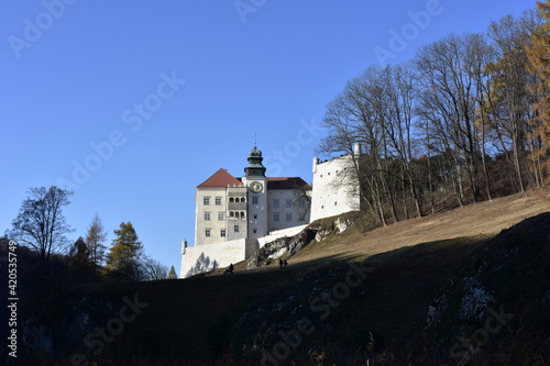 Zamek Pieskowa Skała, Małopolska photo