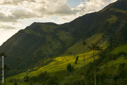 Beautiful landscape full of vegetation in Colombia