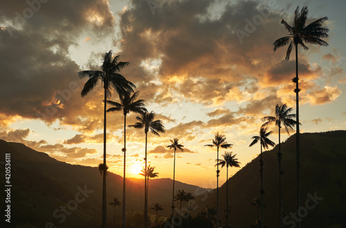 sunset in the cocora valley - Colombia photo