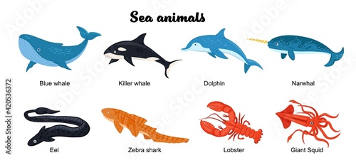 Undersea inhabitants. Endangered species. Sea animals set