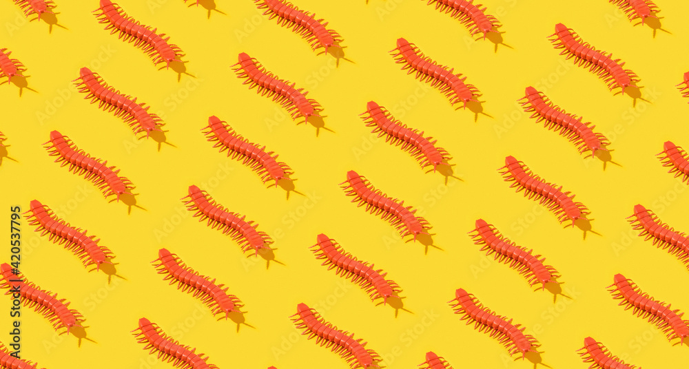 Centipede on yellow Centipede on yellow