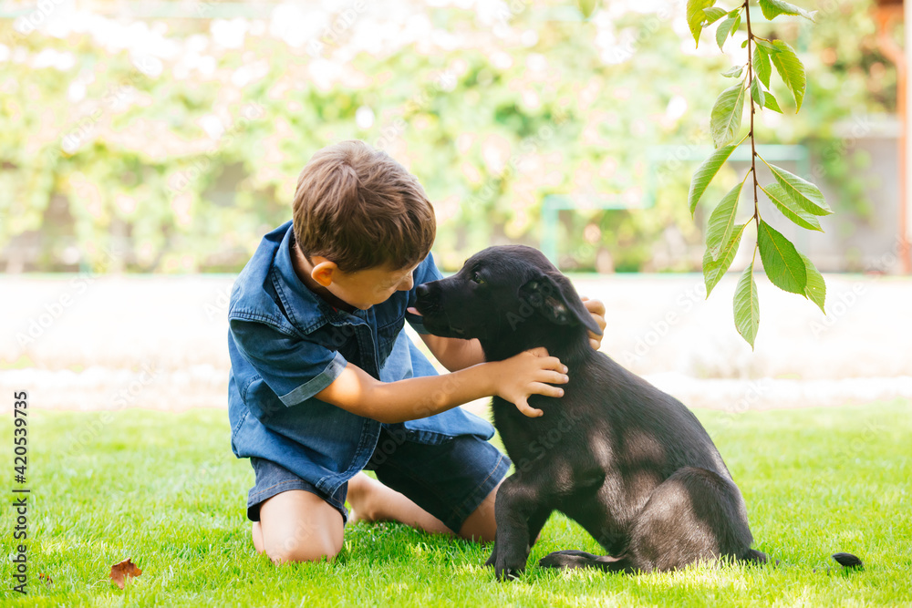 Puppy giving all its love to the young owner Puppy giving all its love to the young owner