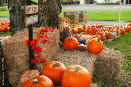 Halloween Pumpkin photo