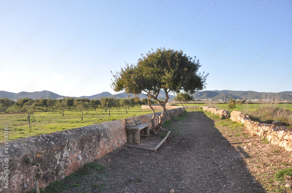 A rural path of Can Blai in Ses Salines, Spain
