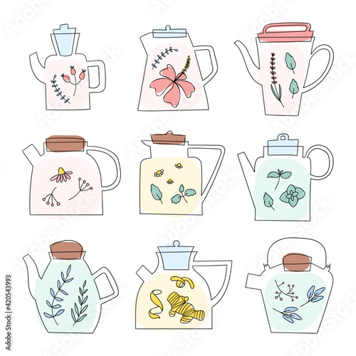 Herbal tea glass teapot set. Doodle outline sketch collection of various design kettles with herbs, flowers and spices. Hot healthy drink for breakfast.