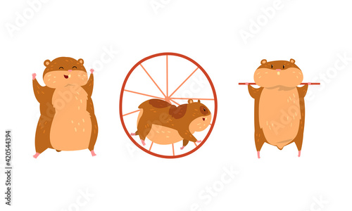 Cute Hamster as Small Pet with Cheek Pouches Turning Wheel and Smiling Vector Set
