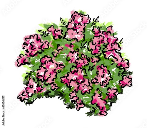 Bushy climbing pink rose. Illustration of a vector on an isolated background.
