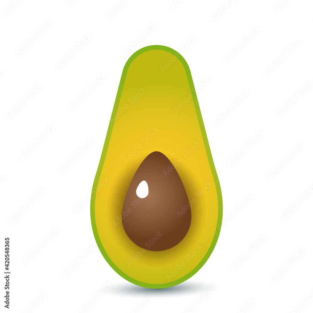 Realistic vector illustration avocado. Cut avocado fruit with bone. vector illustration Realistic vector illustration avocado. Cut avocado fruit with bone. vector illustration
