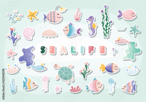 Sealife cartoons set. Cute fish, jellyfish, star, sea horse, turtle, shell characters collection for kids. Vector