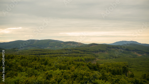 Panoramic view near the Slovak town of Modra © mbrandajsky