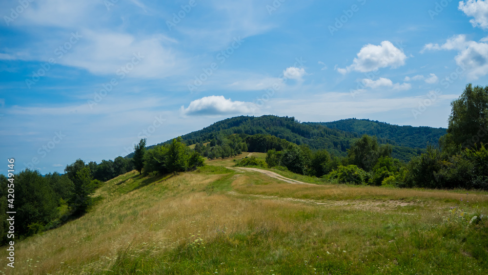 Grassy meadow in the middle of Slovakia.