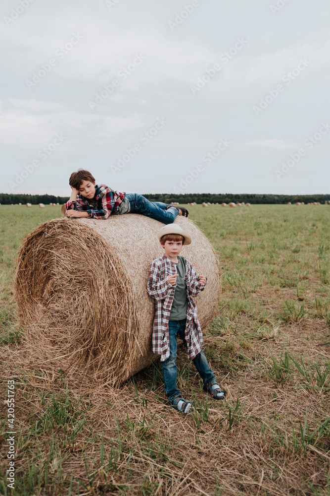 Two young brother on a haystack in the field. Two young brother on a haystack in the field.