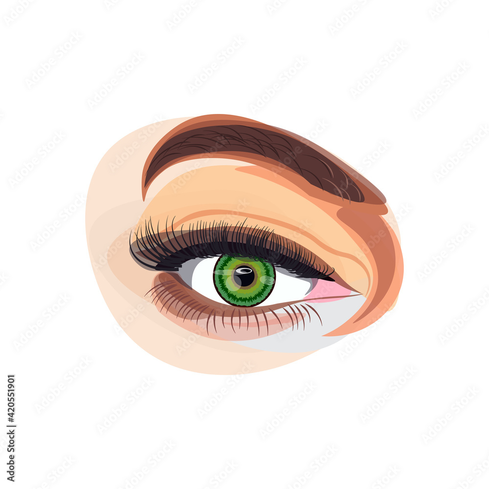 illustration of eye makeup and brow on white background illustration of eye makeup and brow on white background