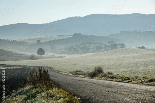Andalusian rural landscape with a road between crops on a foggy morning