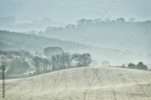Andalusian rural landscape with a road between crops on a foggy morning