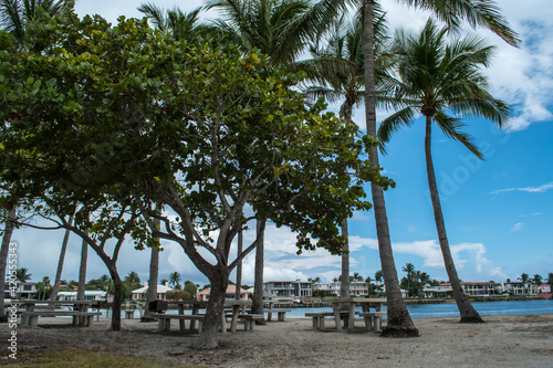 Marina and park with palm trees, grass, water in Palm Beach County, Florida part of the Florida Fish and Wildlife with sidewalk, boardwalks and bridges to walk and ride along the path, Cloudy, overcas photo