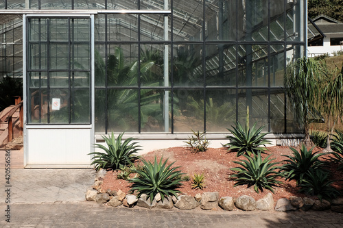 Queen Sirikit Botanic Garden photo