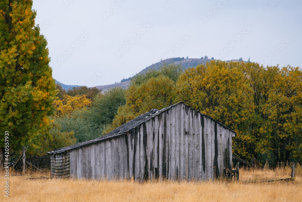 Abandoned Homestead Abandoned Homestead