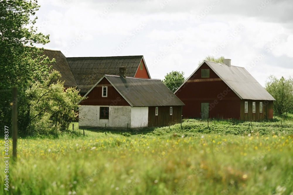 Traditional red houses in a rural village in Sweden Traditional red houses in a rural village in Sweden
