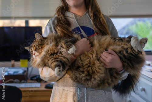 girl holding fluffy cat photo